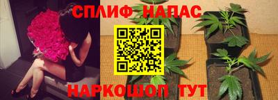 гидра Вышний Волочёк