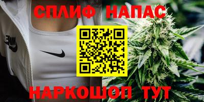гидра Вышний Волочёк