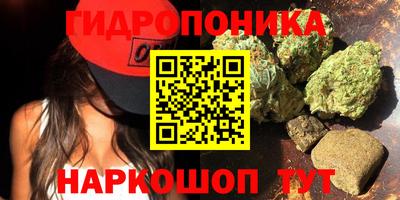 тгк Вязьма
