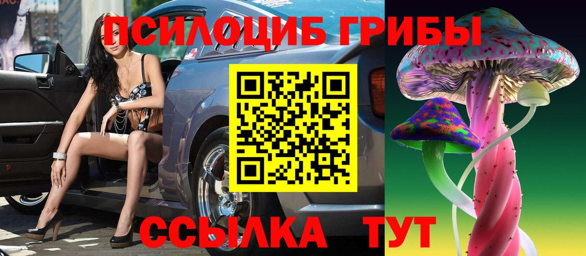 где купить наркотик  Галлюциногенные грибы Magic Shrooms  Вологда  Вход с VPN  Псилоцибиновые грибы Cubensis 