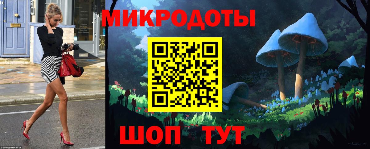 Псилоцибиновые грибы мухоморы Вологда